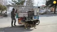 سفر پیاده به مکه از انگلیس با گاری و یک سگ!+تصاویر