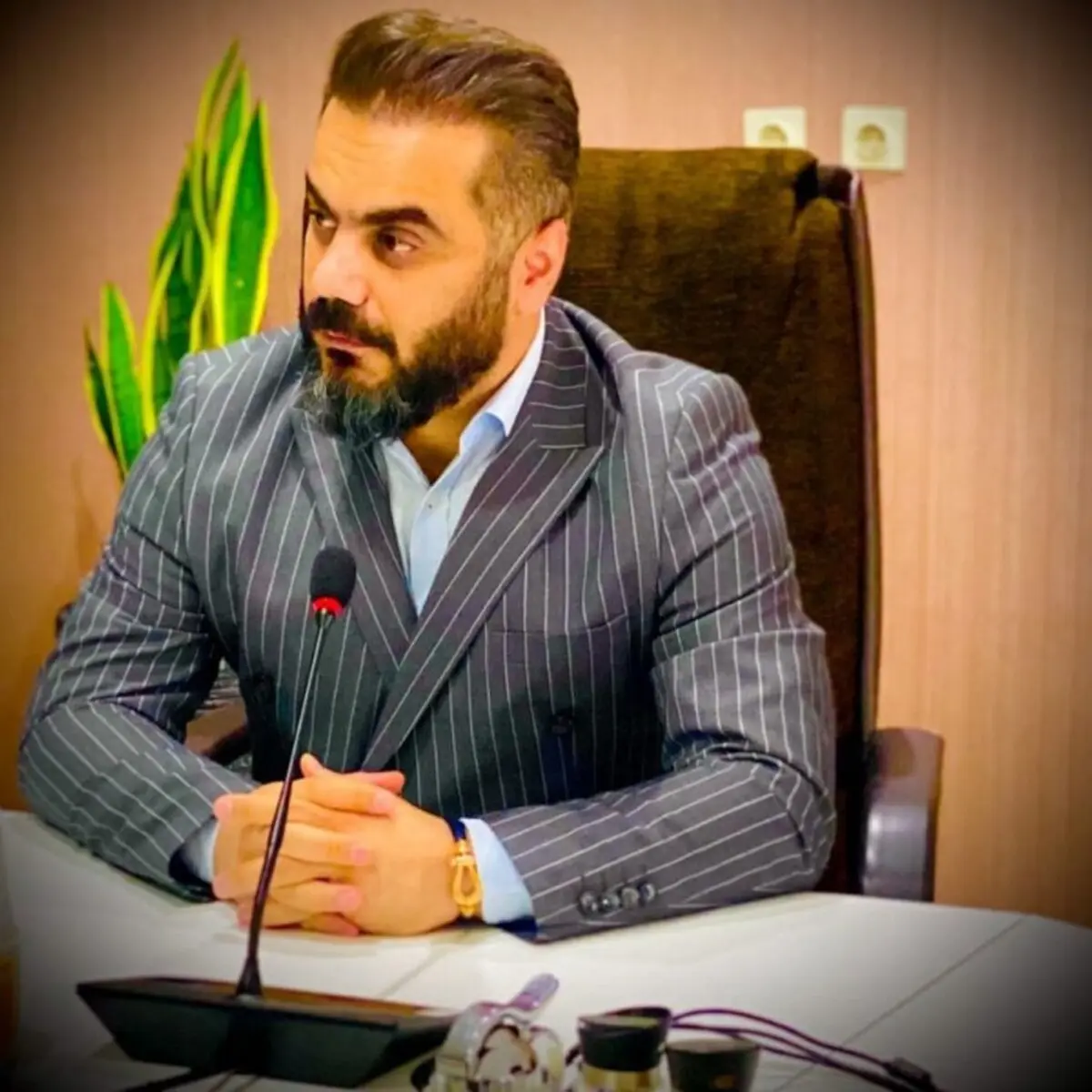 انتصاب معاون اقتصادی در باشگاه پرسپولیس