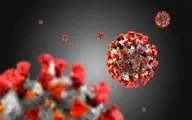 تاثیر داروی سرطان در مقابله با کروناویروس