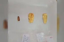 کشف مومیایی‌های مصری با زبان‌هایی از جنس طلا