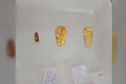 کشف مومیایی‌های مصری با زبان‌هایی از جنس طلا