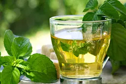 مبتلایان به رفلاکس عرق نعناع نخورند 