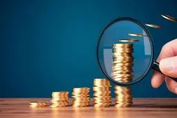 کشورهای عربی با چه بینشی در دیگر کشورهای عربی سرمایه‌گذاری می‌کنند؟ | رویارویی اقتصادی