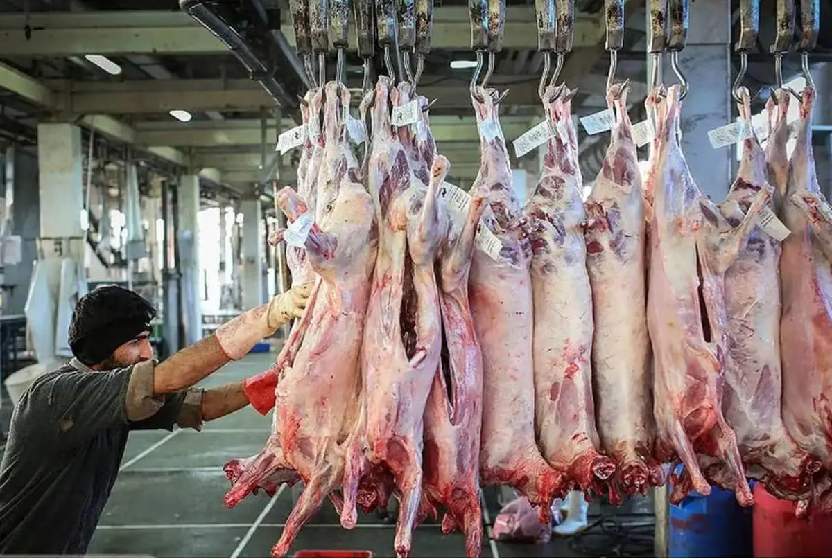 قیمت جدید گوشت قرمز در بازار 