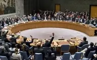 کشورهای عربی در شورای امنیت کرسی دائم می‌خواهند 