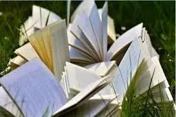 زن ایده‌آلی در ذهنم ندارم.