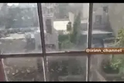 هجوم ملخ ها به جایپور در استان راجستان هند+فیلم 