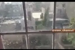 هجوم ملخ ها به جایپور در استان راجستان هند+فیلم 