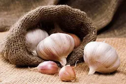 سیر نخورید! | عوارض جبران‌ناپذیر مصرف زیاد سیر