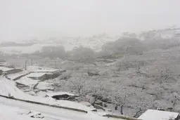 احتمال تعطیلی مدارس تهران در روز آینده بالاست