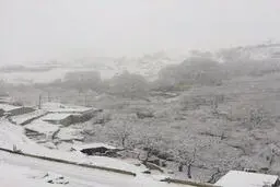 مدارس تهران روز یکشنبه (فردا )  تعطیل شد