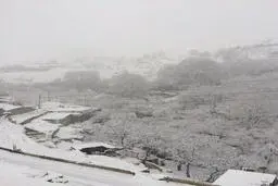مدارس تهران روز یکشنبه (فردا )  تعطیل شد