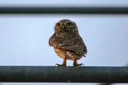 دیدنی‌های امروز؛ از تظاهرات جهانی ضدنژادپرستی تا قرنطینه محلاتی در شهر پکن + عکس