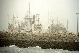 بلایی که اقدام جنجالی یک جوان در ساحل جزیره ناز قشم سر مردم آورد !