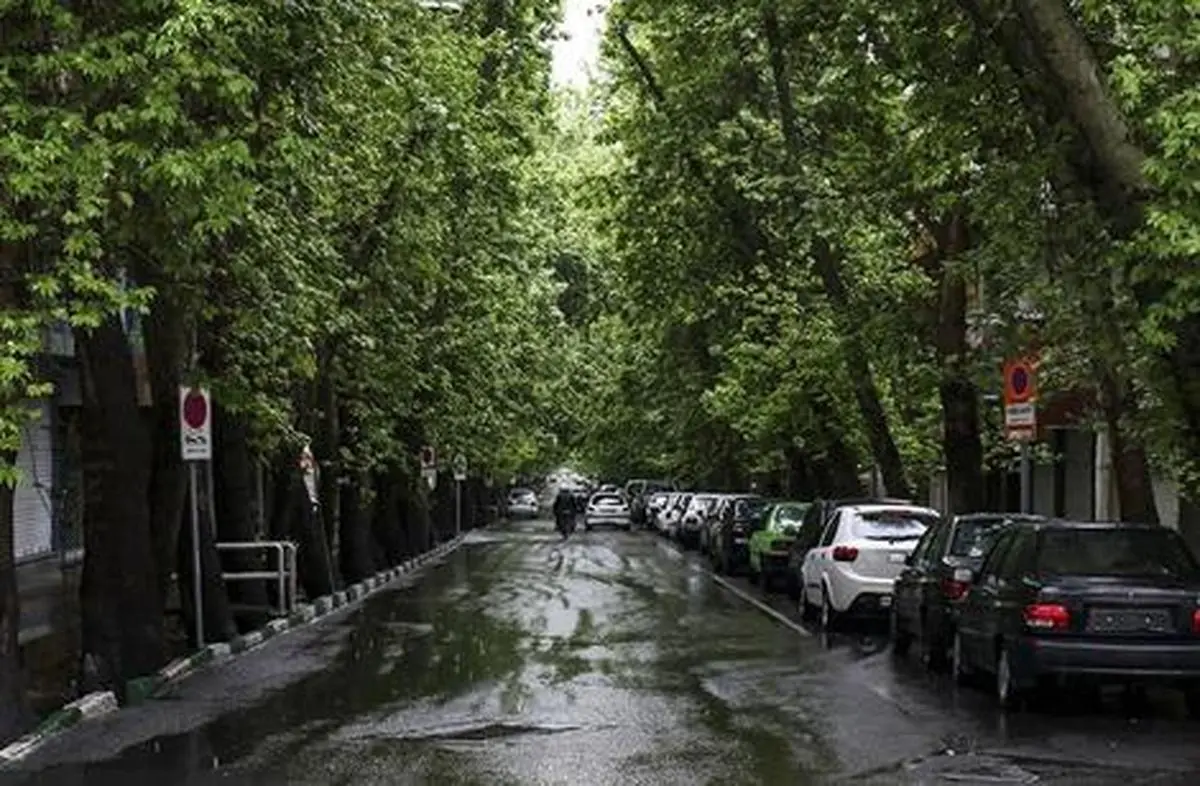 بیشترین میزان بارش در تهران دیشب به ثبت رسید! | بارش 68 میلیمتری در این استان