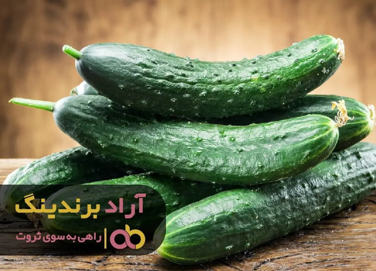 خیار مسیر زندگی ام را به کلی تغییر داد