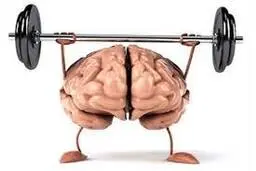 چگونه از کوچک شدن مغز جلوگیری کنیم | ۴ راهکار ساده برای حفظ سلامت مغز +ویدئو