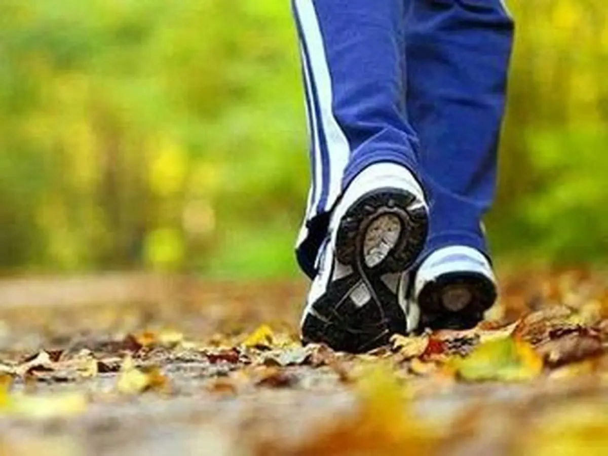 کاهش کلسترول خون با این چهار ورزش 
