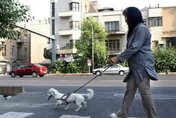
کیهان: سگ گردانی «معضل اساسی» جامعه است
