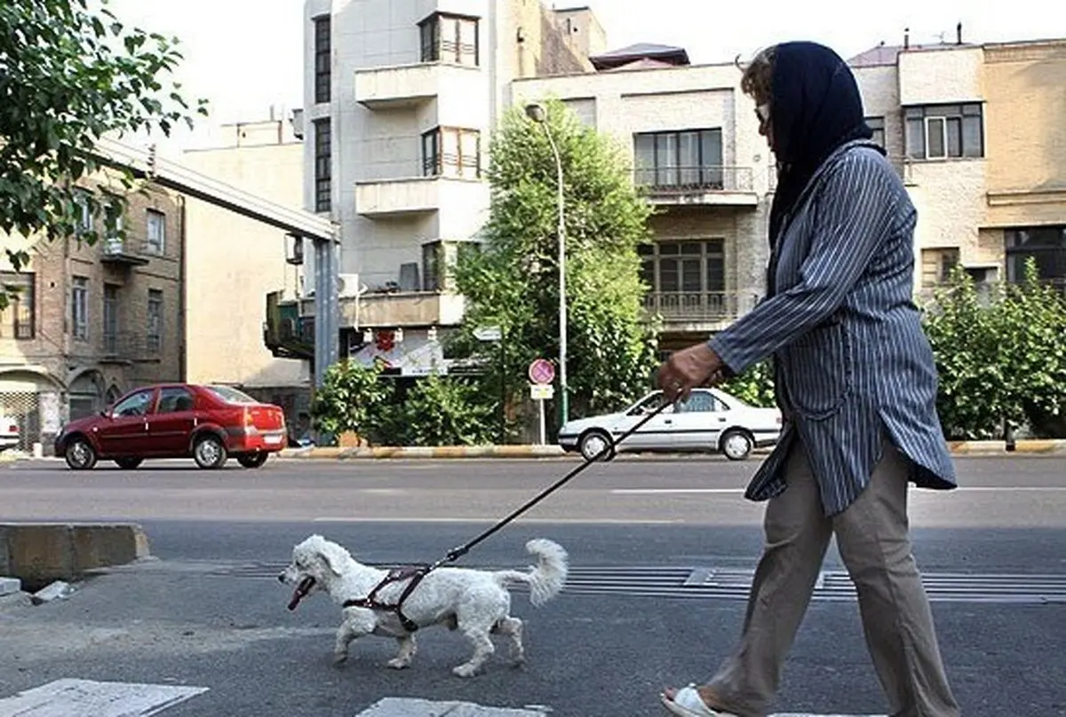 
کیهان: سگ گردانی «معضل اساسی» جامعه است
