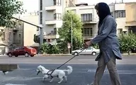 
کیهان: سگ گردانی «معضل اساسی» جامعه است

