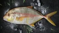 هیچکس این دستور پخت ماهیو بهت رو نمیکنه! | طرز تهیه ماهی مخصوص +ویدئو