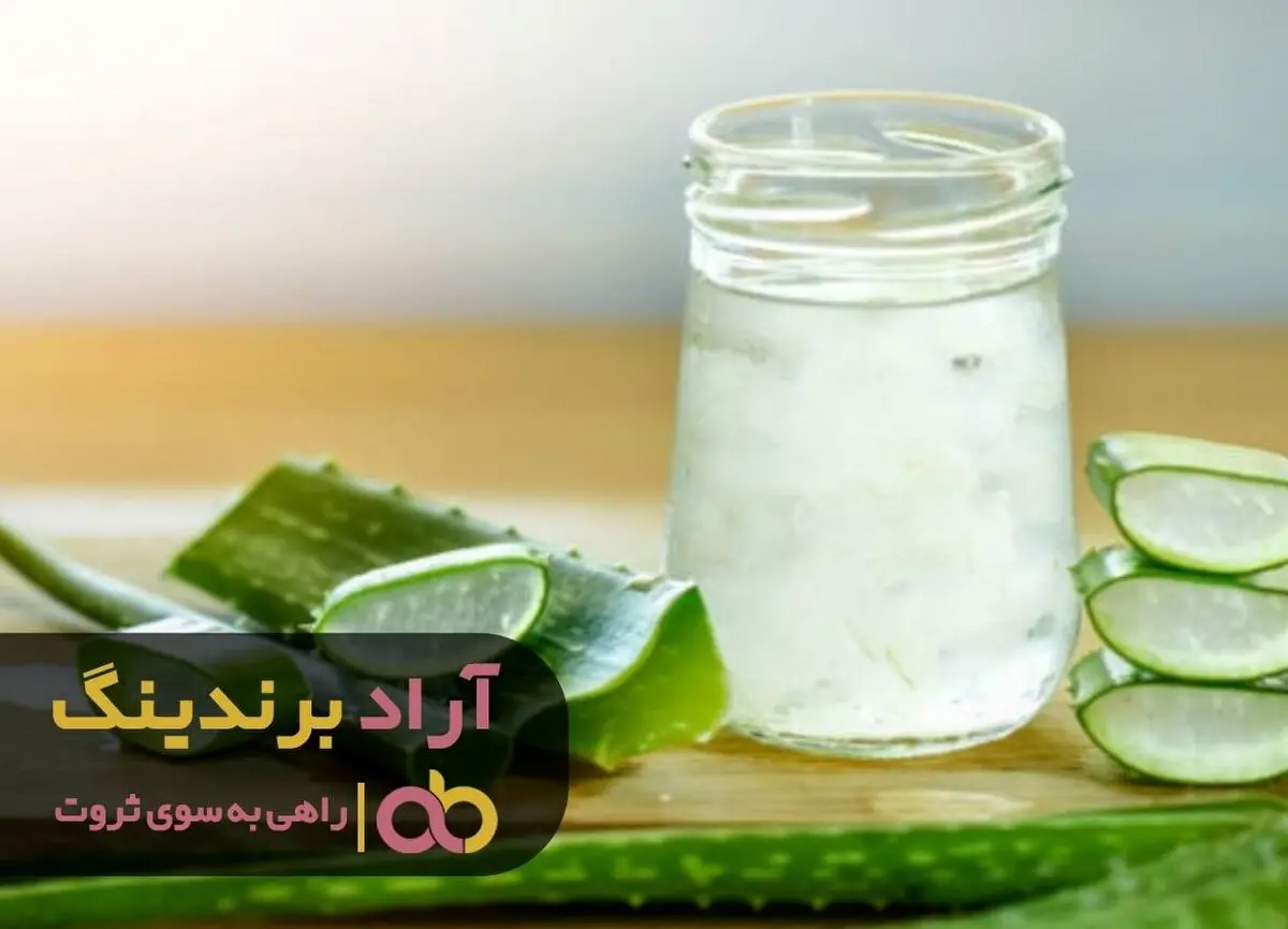 از پدرم ثروت بزرگی را به ارث بردم