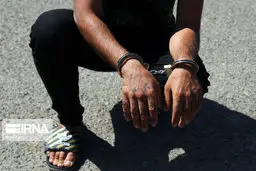  دستگیری حفاران غیرمجاز آثار میراث ‌فرهنگی در نهاوند