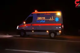 دلیل اینکه « اسب آمبولانس» نداریم!