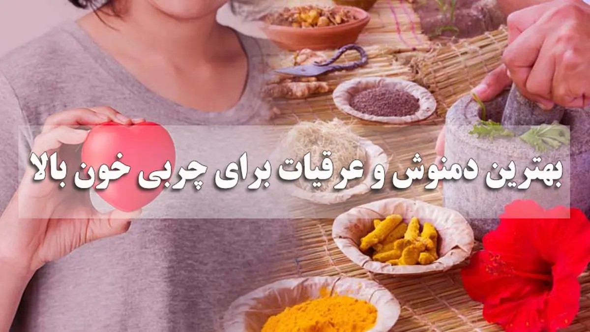 بهترین دمنوش برای چربی خون بالا و کاهش آن |  این دمنوشها معجزه می کند