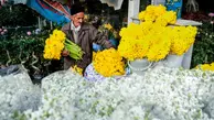 پژمردگی بازار گل در توفان کرونا