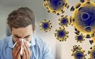 افزایش موارد ابتلا به مِرس در عربستان | حجاج نکات بهداشتی را رعایت کنند 