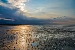 میانکاله و سند آمایش سرزمین مازندران