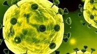 راه‌های پیشگیری از ابتلا به کرونا ویروس در طب اسلامی ایرانی