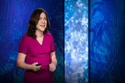 نارسی فقر | چگونه درآمد بر رشد و توسعه مغز در زمان کودکی اثر می‌گذارد؟