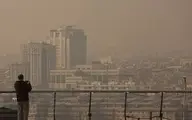 
 موارد قلبی و تنفسی در روزهای آلودگی هوا در پایتخت افزایش یافته
