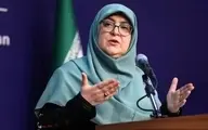 سفر نماینده عربستان به ایران فراتر از یک سفر معمولی بود | از مذاکرات فرسایشی استقبال نمی‌کنیم