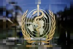 درتابستان احتمال افزایش آبله میمون وجود دارد!