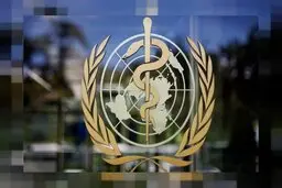 درتابستان احتمال افزایش آبله میمون وجود دارد!