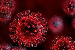 کرونا |کرونا علایم دل درد و تهوع هم دارد