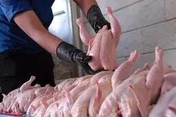 قیمت جدید مصرف‌کننده مرغ اعلام شد