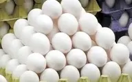  تخم مرغ  | گران فروشی همچنان ادامه دارد