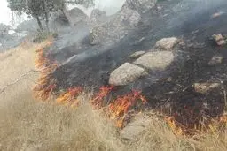 مهار آتش‌سوزی در جنگل‌های بلوط بلند کارون ۴ 