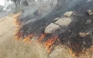 مهار آتش‌سوزی در جنگل‌های بلوط بلند کارون ۴ 