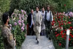 احمد مسعود: در صورت تقسیم برابر قدرت در افغانستان کناره‌گیری می‌کنم