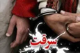 
قتل  | سارقان سرقت از طلافروشی تبریز دستگیر شدند 