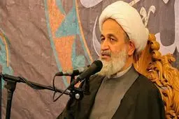 
 پیشنهاد پناهیان درباره ایجاد انگیزه ازدیاد نسل  به مردم
