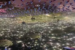جشن شگفت انگیز هواداران ترابزون پس از قهرمانی در سوپرلیگ ترکیه+ویدئو 