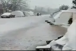زلزله زدگان سی سخت را دریابید + ویدئو