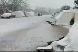 زلزله زدگان سی سخت را دریابید + ویدئو